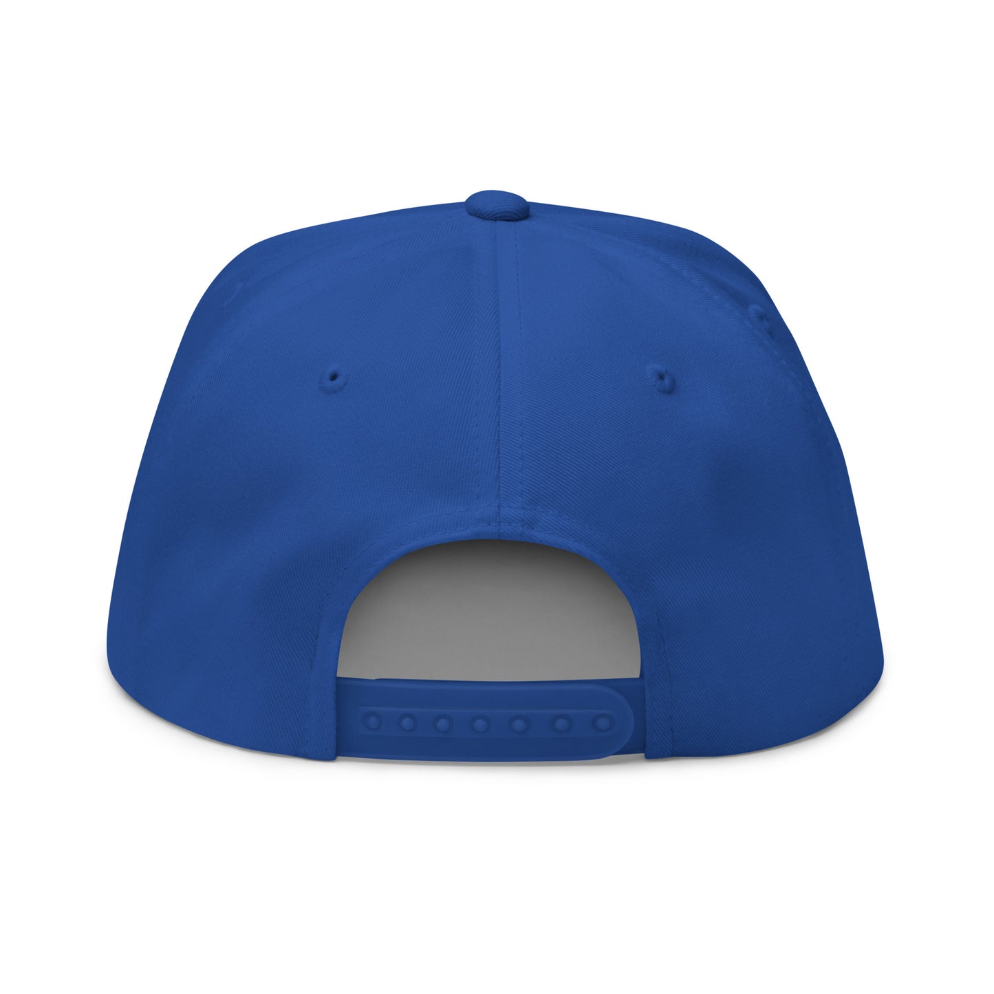 LimitZero LimitedEdition Embroided Logo V3 Blue FlatCap (Green undervisor)